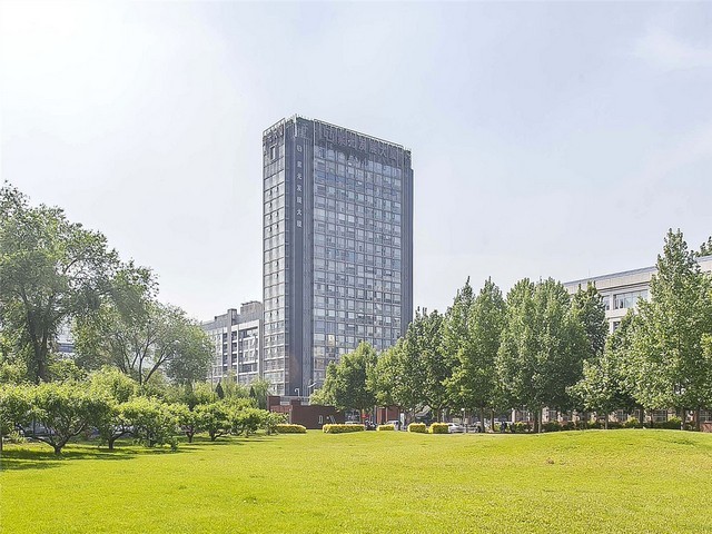 山东正规瑜伽疗法哪家服务好