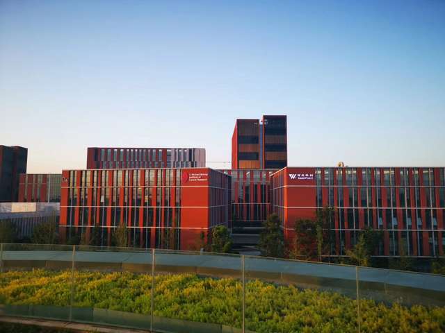 广东欧式别墅工程吊灯市场