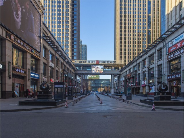 厦门正规狗罐头制造厂家