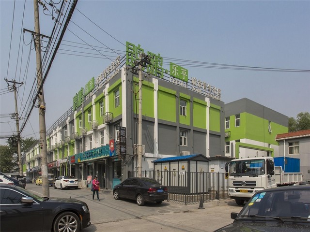 曲靖珠芽魔芋种子的价格